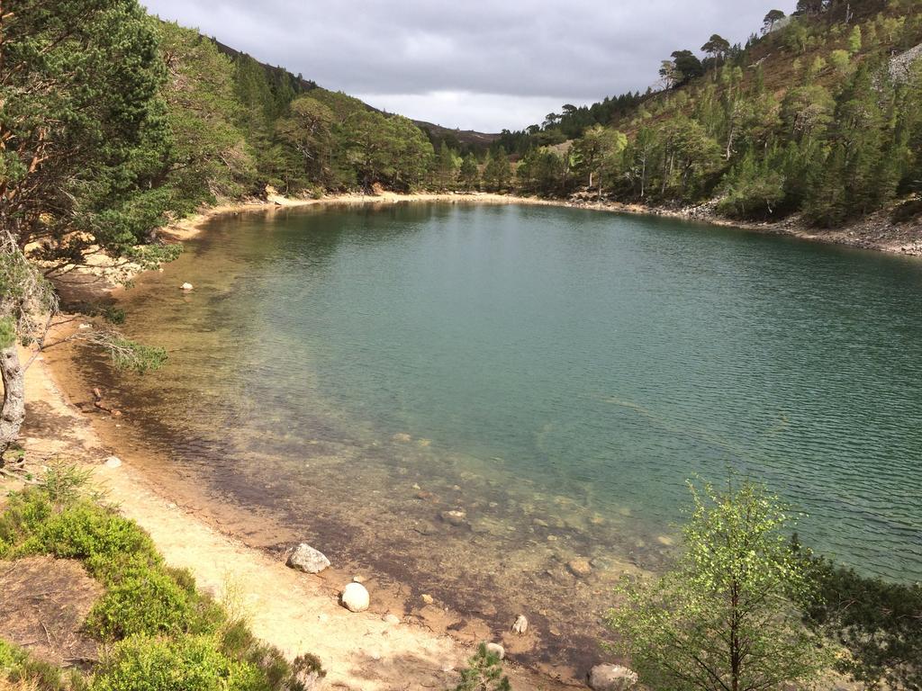 Riverbank Lodge อาวีมอร์ ภายนอก รูปภาพ